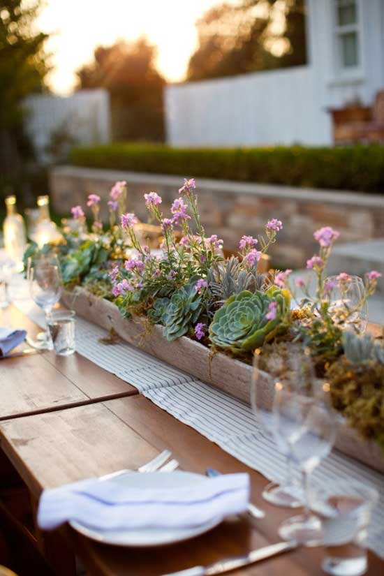 centre de table composition plantes succulente grasse cactus